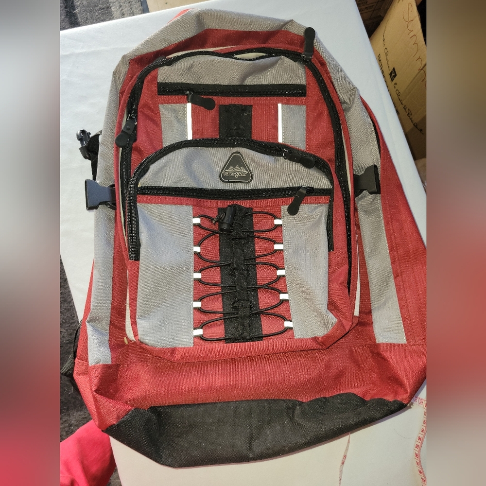 Red and Gray Backpack